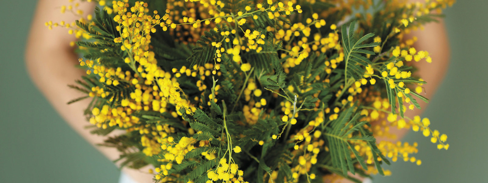Mandelieu - Festa della Mimosa e Grasse